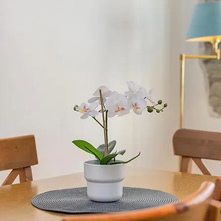Silent Old Town Apartment